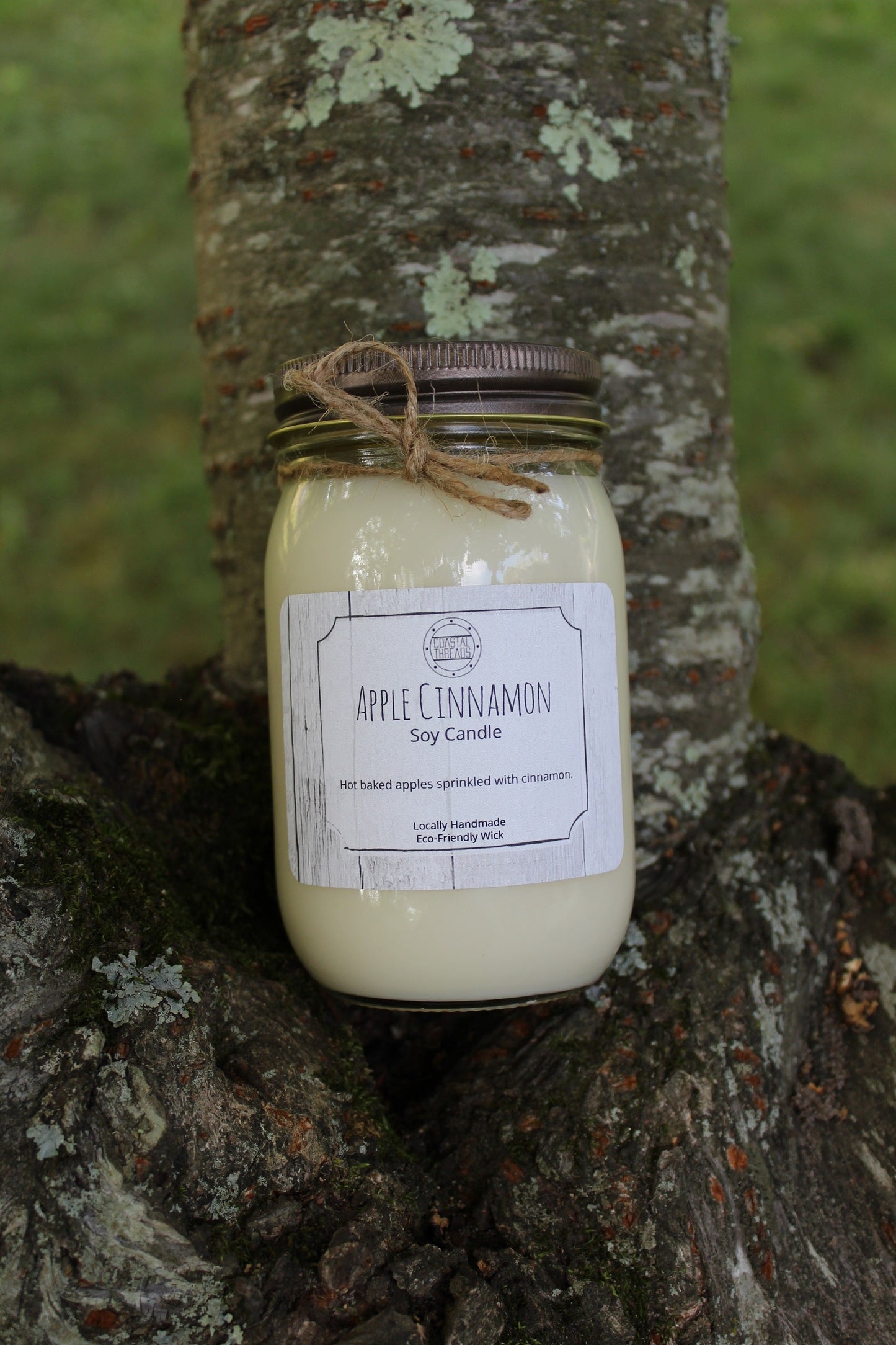 Apple Cinnamon Soy Candle