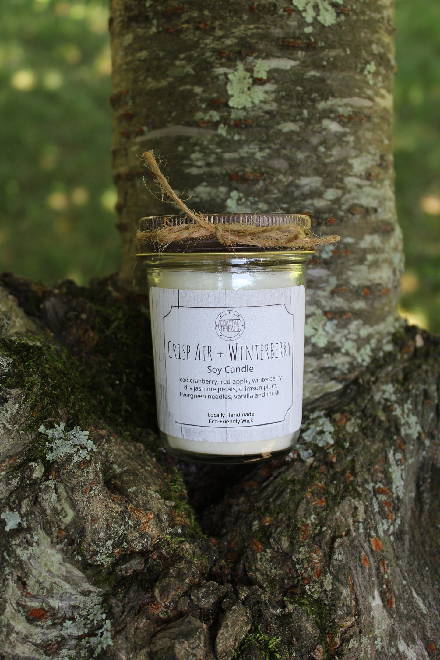 Crisp Air and Winterberry Soy Candle